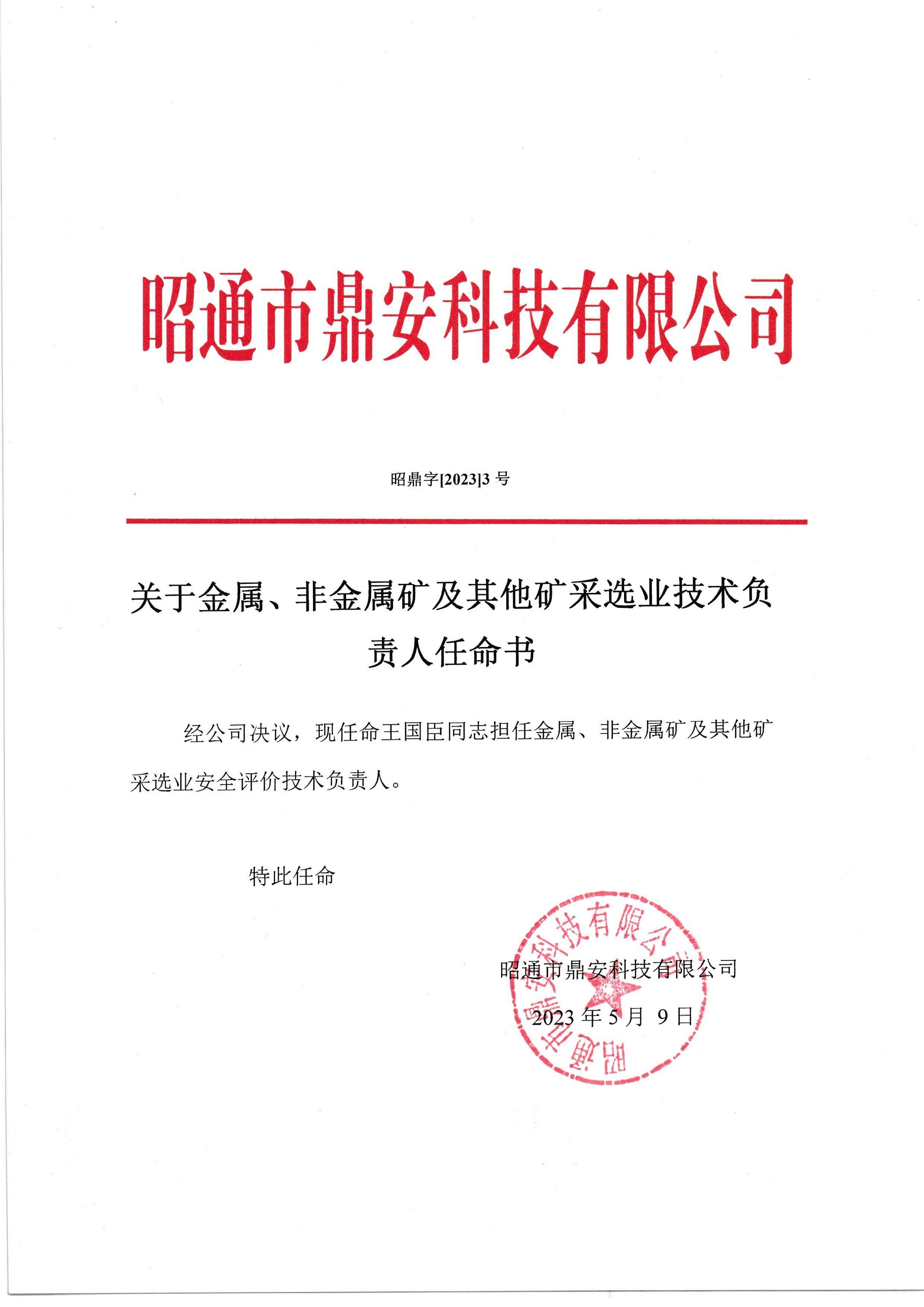 關(guān)于金屬、非金屬礦及其他礦采選業(yè)技術(shù)負責(zé)人任命書-王國臣_2.jpg